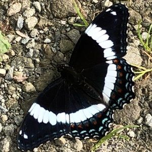 Meet your Posher, Kathleen